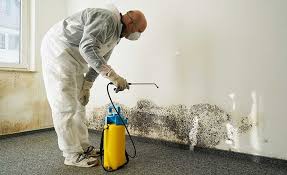 Glennville, GA Mold Inspection Company