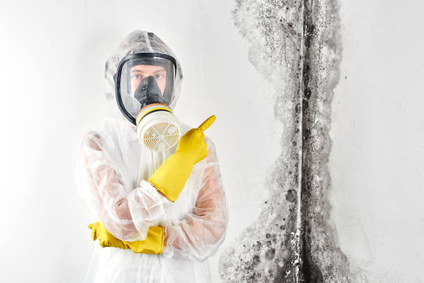 Biohazard Mold Removal in Glennville, GA